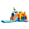 Springkussen Beach (Multiplay)